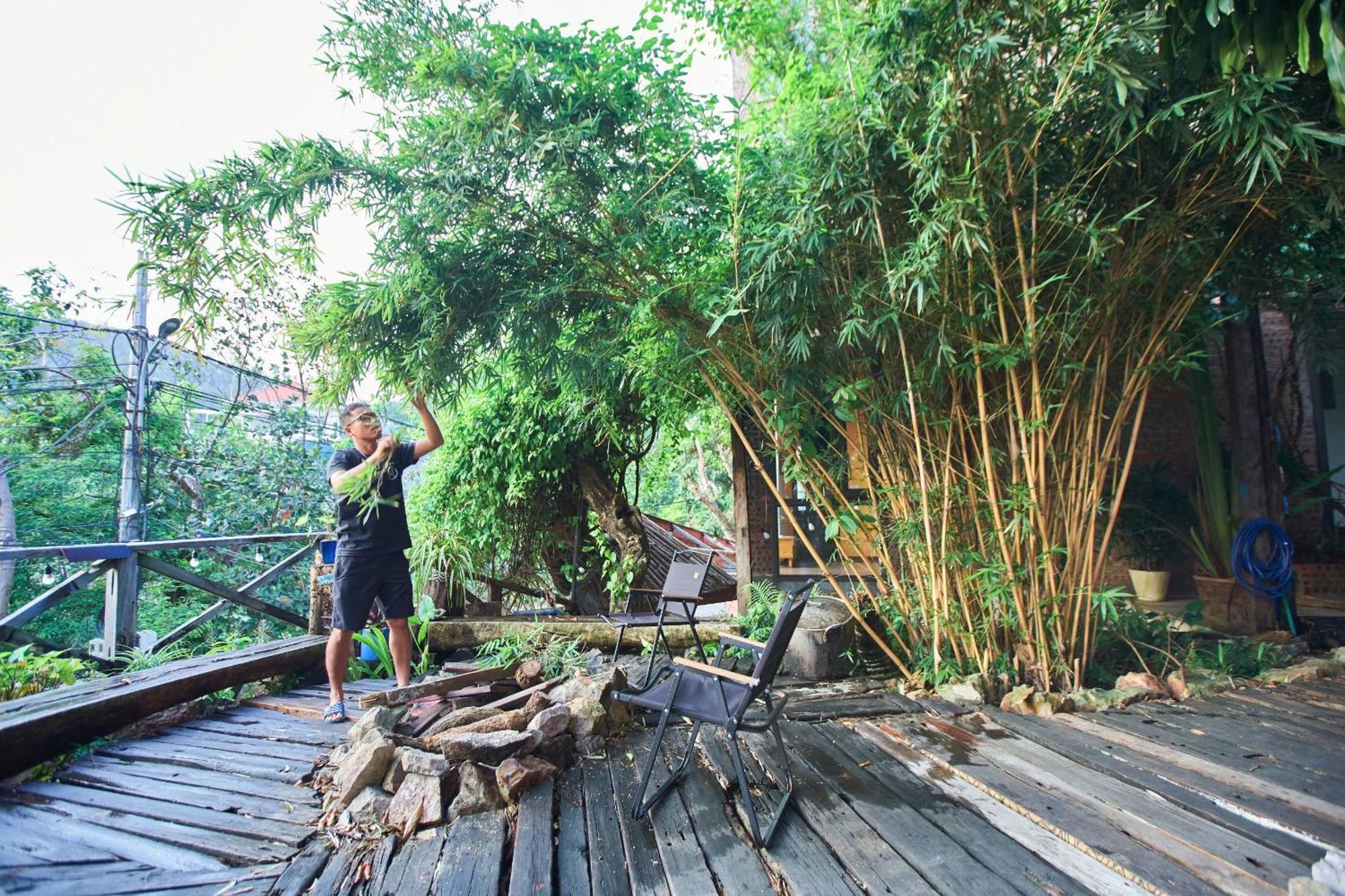 Homestay Eco May5 Travel Ha Long Bagian luar foto